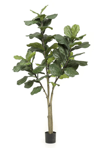 Kunstpflanze - Geigenfeige - 180 cm