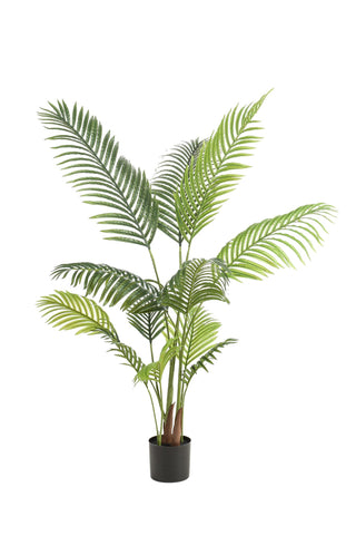 Kunstpflanze - Howea Forsteriana - 140 cm