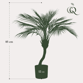 Kunstpflanze - Bergpalme - 85 cm
