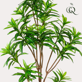 Kunstpflanze - Drachenbaum - 155 cm