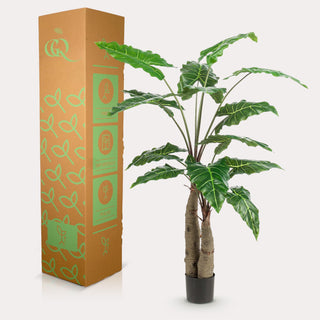 Kunstpflanze - Alocasia - Elefantenohr - 150 cm