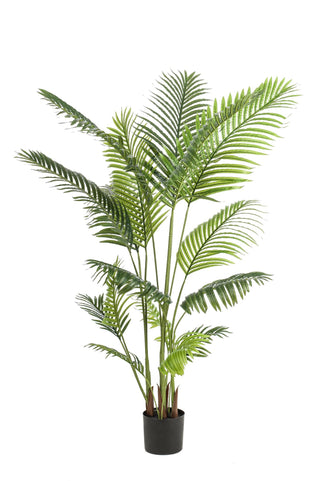 Kunstpflanze - Howea Forsteriana - 160 cm