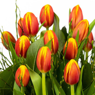 Multicolour (warm) tulpenboeket