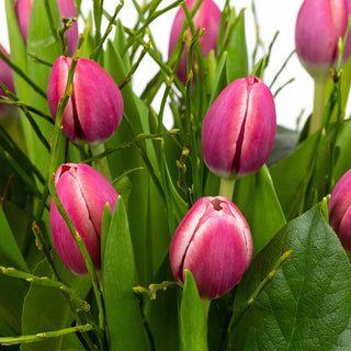 Multicolour (vrolijk) tulpenboeket